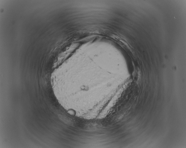 X0000073420503200608251553