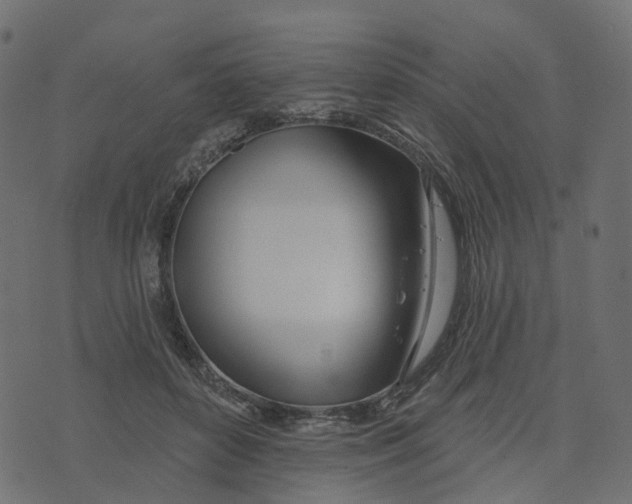 X0000073420504200608251553