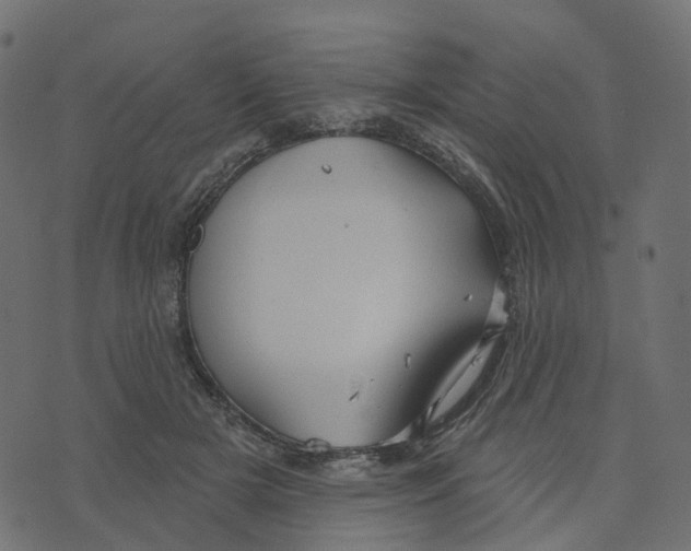 X0000073420505200608251553