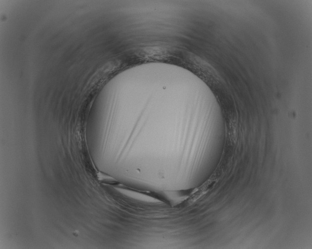 X0000073420506200608251553