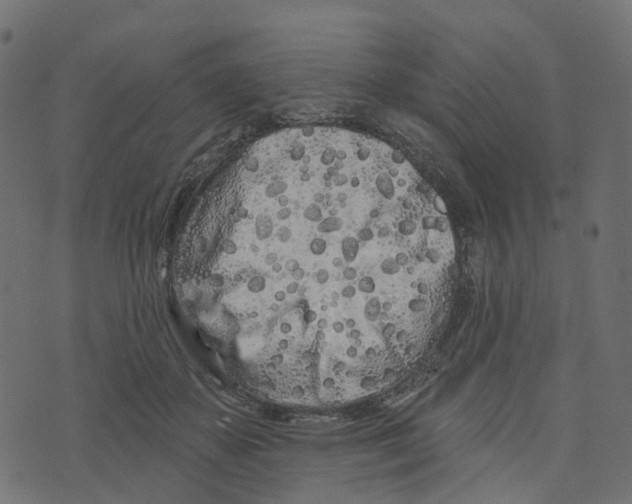 X0000073420507200608251553