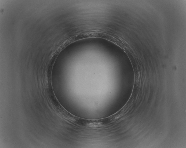 X0000073420508200608251553