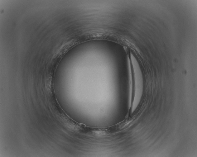 X0000073420509200608251553