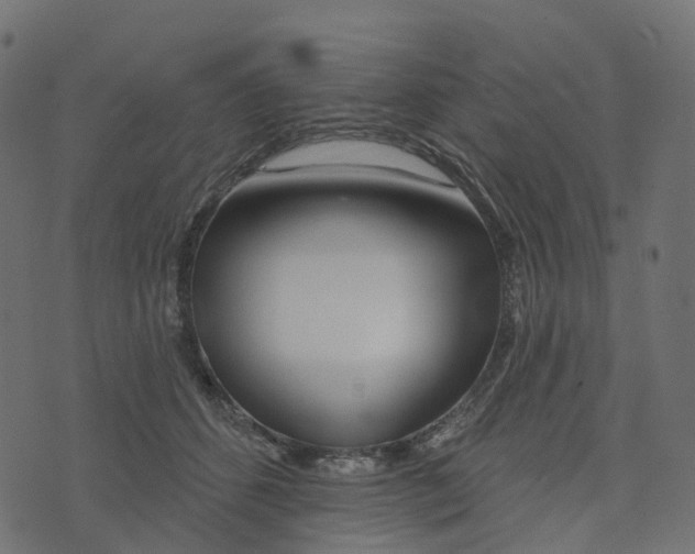 X0000073420512200608251553