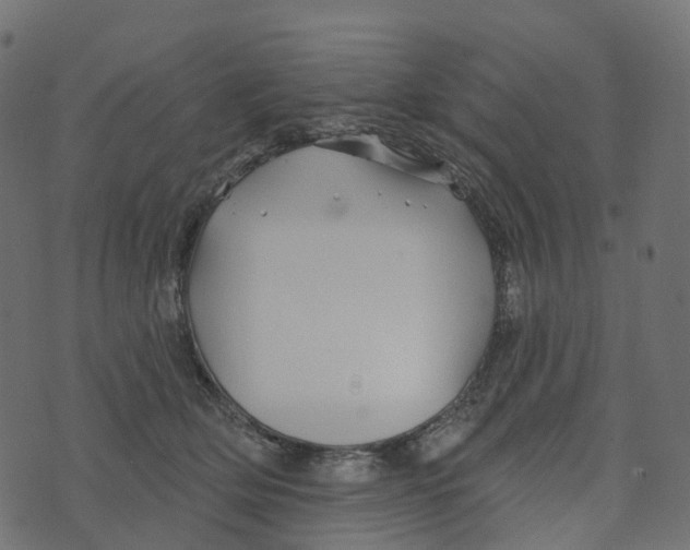 X0000073420514200608251553