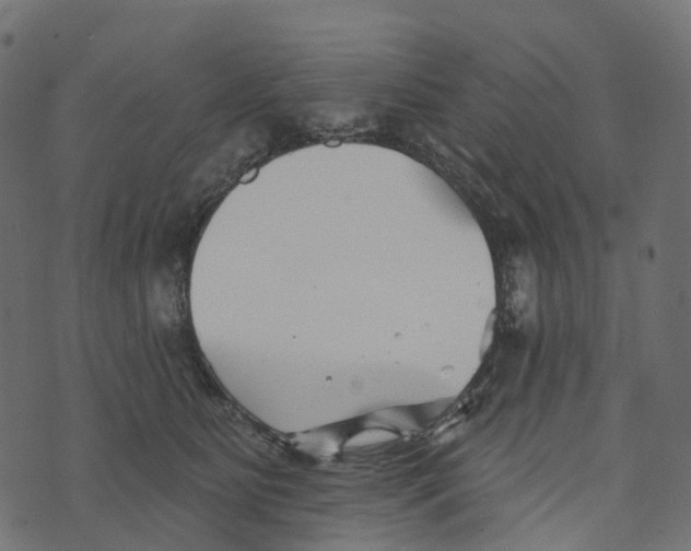 X0000073420515200608251553