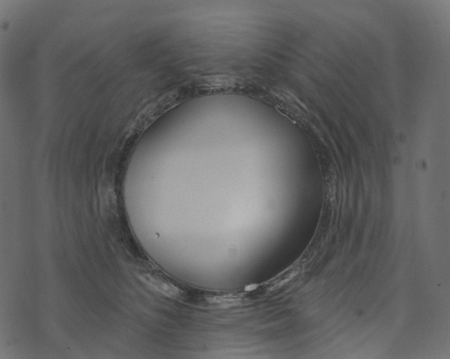 X0000073420516200608251553