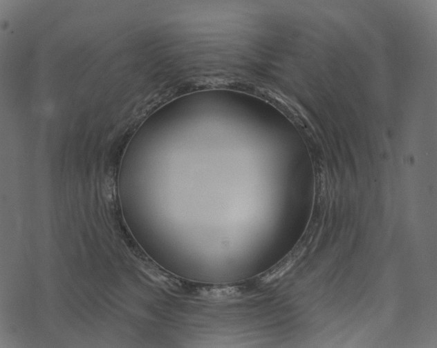 X0000073420517200608251553