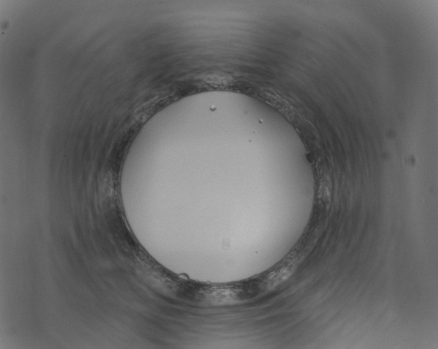 X0000073420518200608251553