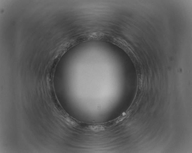 X0000073420520200608251553