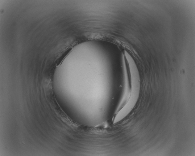 X0000073420521200608251553