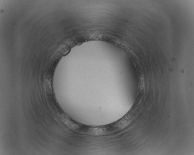 X0000073420522200608251553