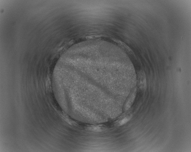 X0000073420523200608251553