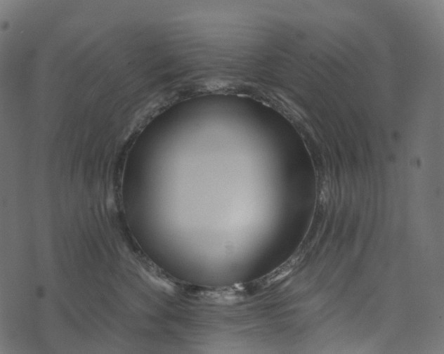 X0000073420524200608251553