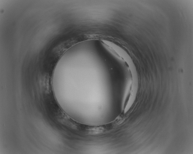 X0000073420525200608251553