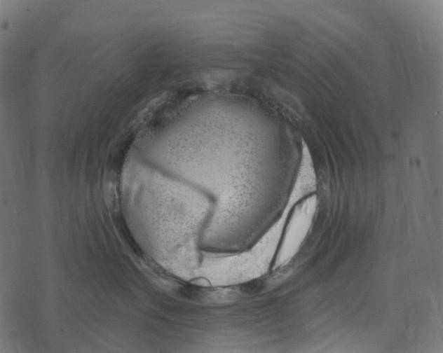 X0000073420527200608251553