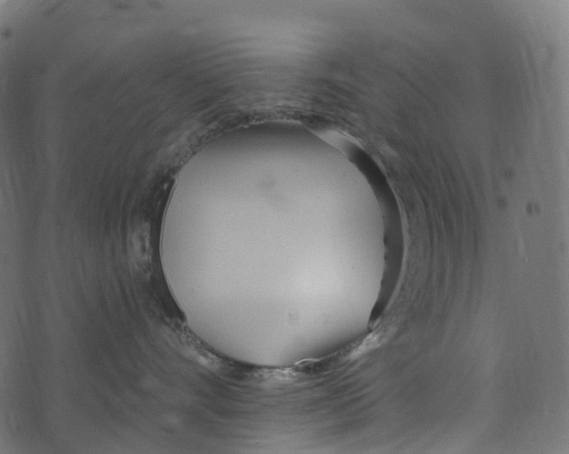 X0000073420528200608251553