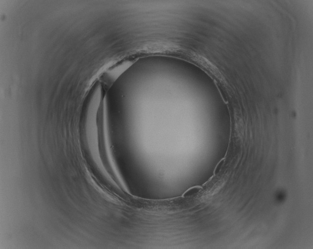 X0000073420530200608251552