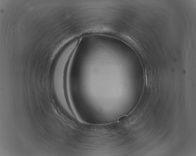 X0000073420531200608251552