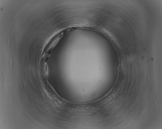 X0000073420532200608251552