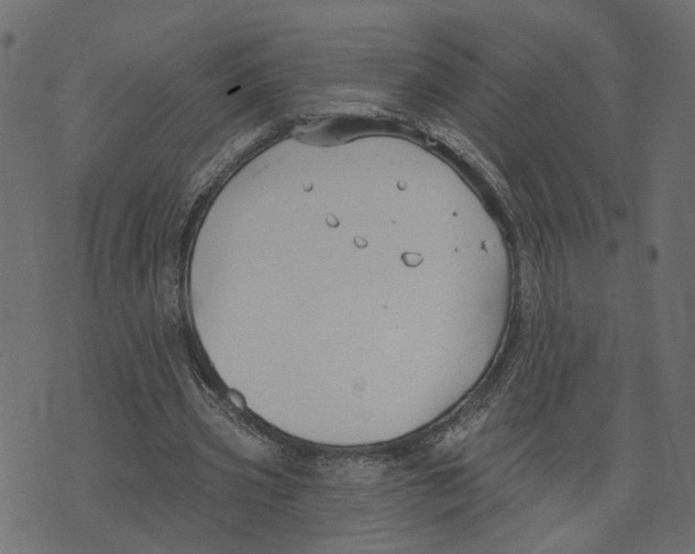 X0000073420533200608251552