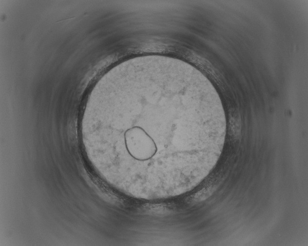 X0000073420534200608251552