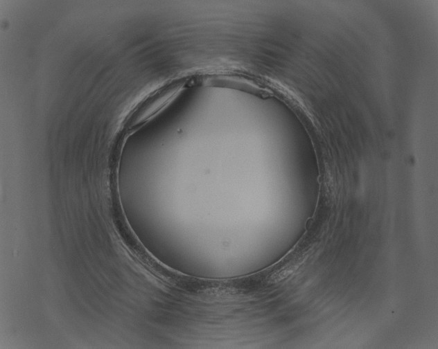 X0000073420535200608251552