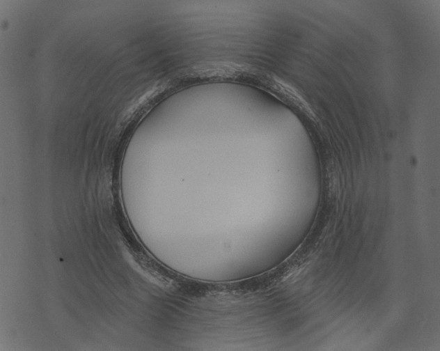 X0000073420538200608251552