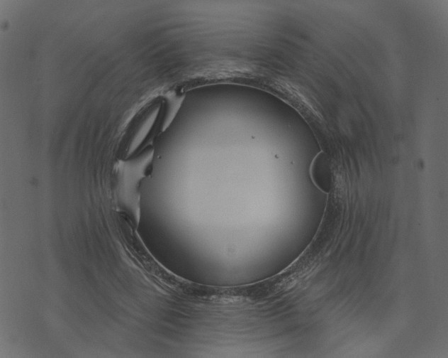 X0000073420539200608251552