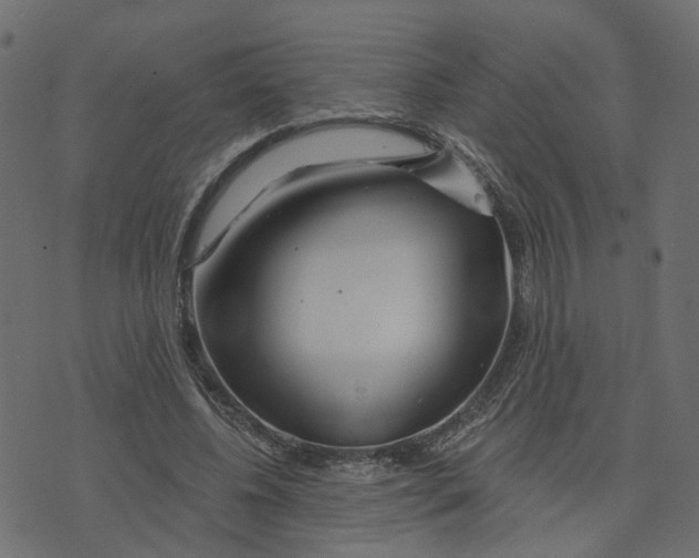 X0000073420540200608251552