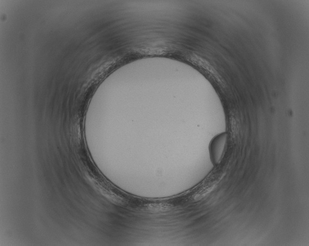 X0000073420541200608251552