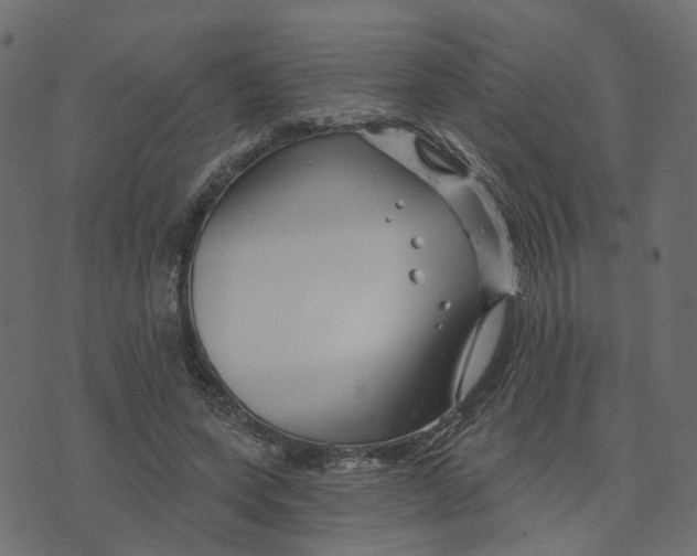 X0000073420543200608251552