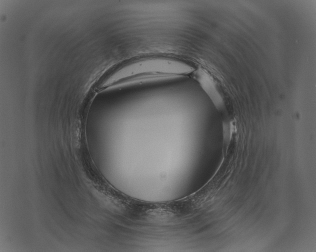 X0000073420544200608251553