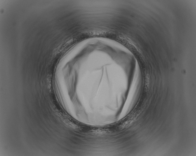 X0000073420545200608251553