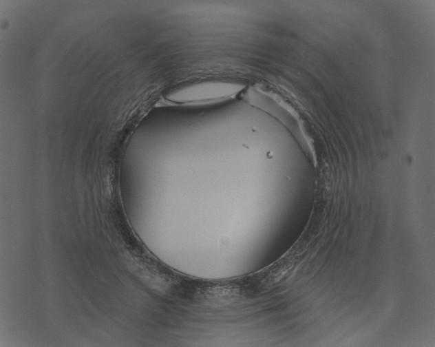 X0000073420546200608251553