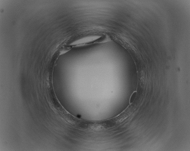 X0000073420547200608251553