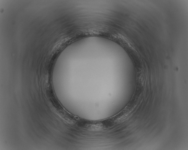 X0000073420548200608251553