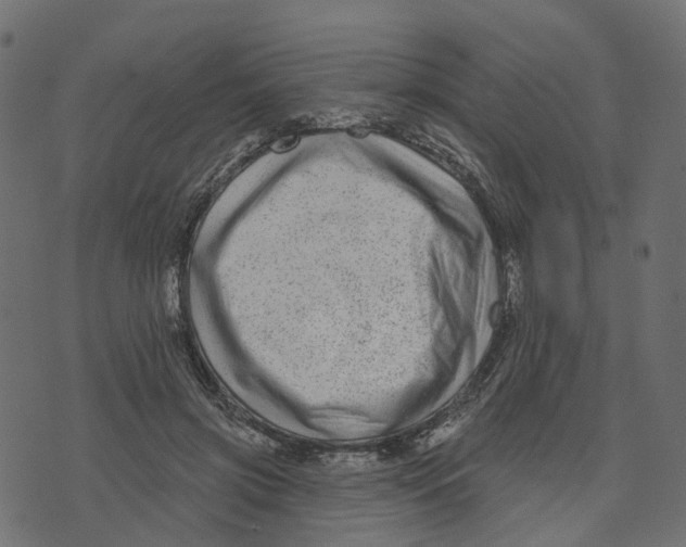 X0000073420549200608251553