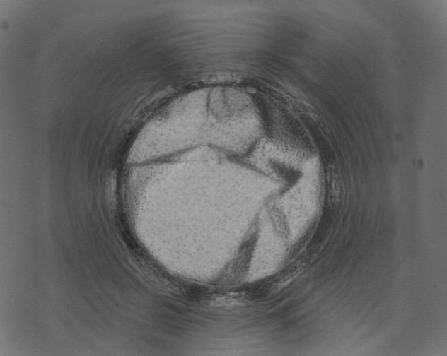 X0000073420550200608251553