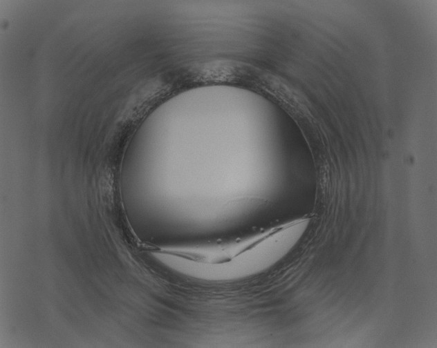 X0000073420551200608251553