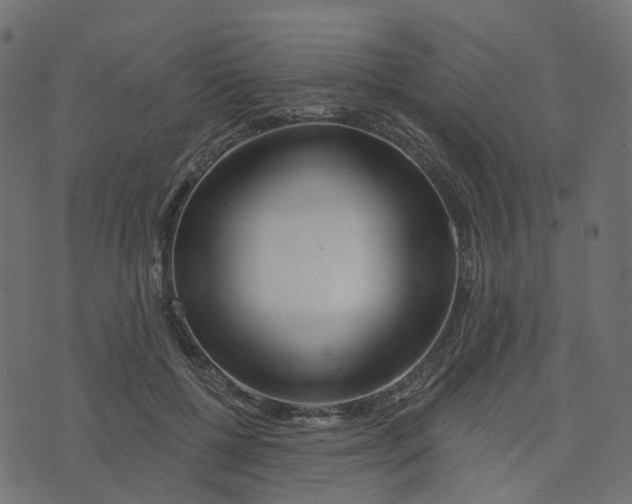 X0000073420552200608251553