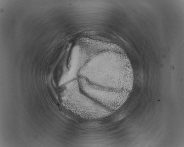 X0000073420553200608251553