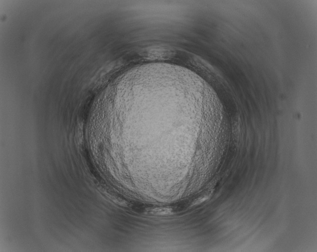 X0000073420554200608251553