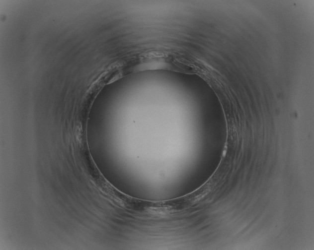 X0000073420556200608251553