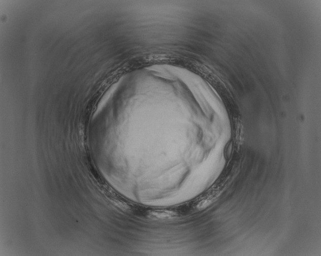 X0000073420557200608251553