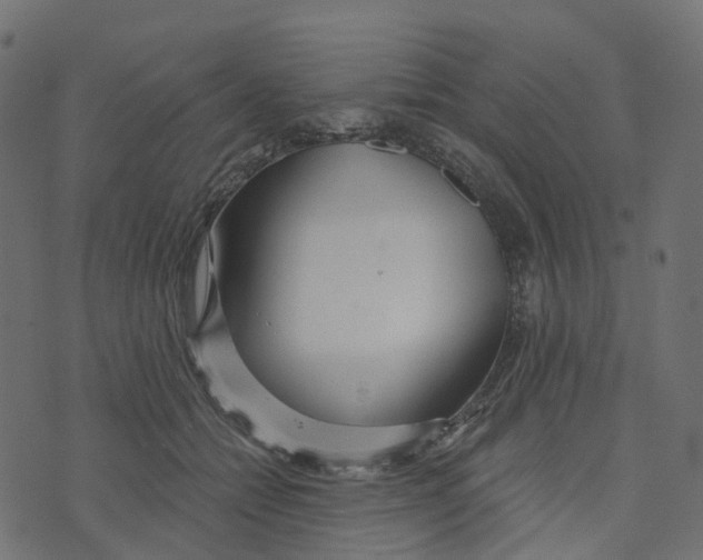 X0000073420558200608251553