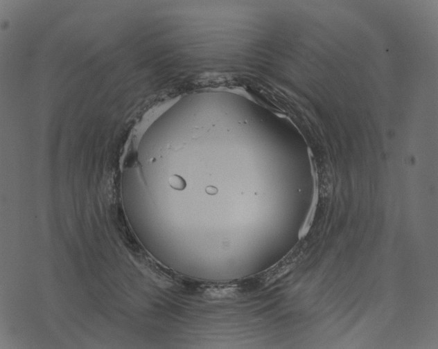 X0000073420560200608251553