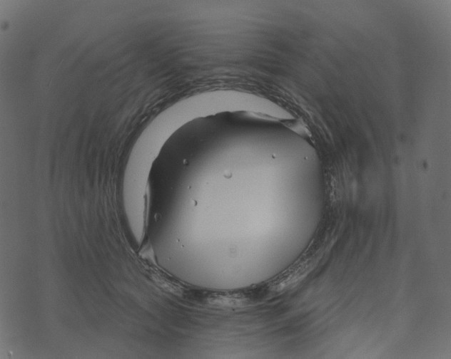 X0000073420561200608251553