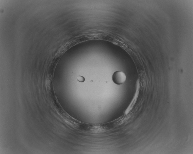 X0000073420562200608251553