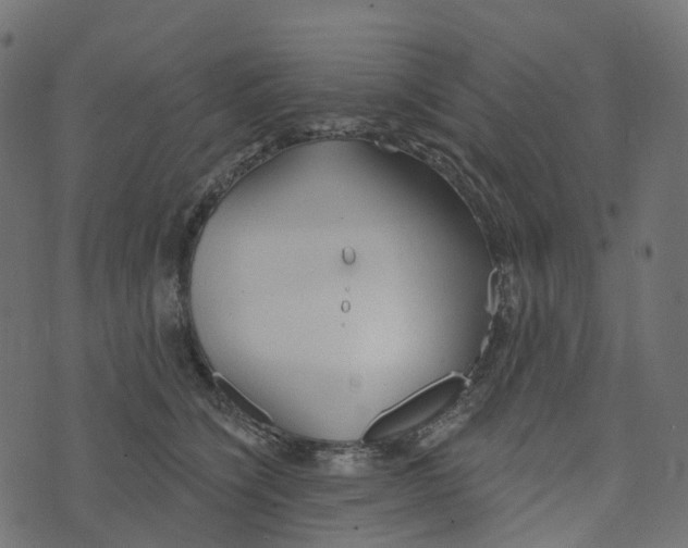 X0000073420564200608251553